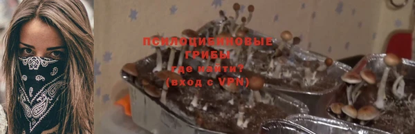 трава Алзамай