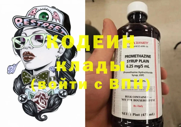 дурь Арсеньев