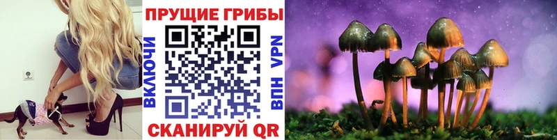 Галлюциногенные грибы Cubensis  что такое наркотик  Муром 